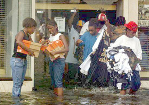 Looting From Katrina