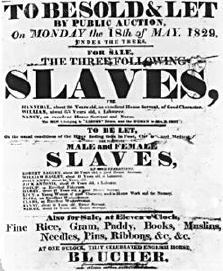Slave Ad